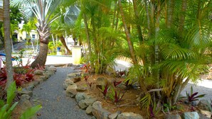 Un sentier bordé de plantes luxuriantes, de palmiers et de rochers, typique d’un jardin tropical.