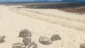 A beach with a rocky foreground and a mountain in the distance. - Semicorchea Corralejo Center iRent Fuerteventura (Corralejo)