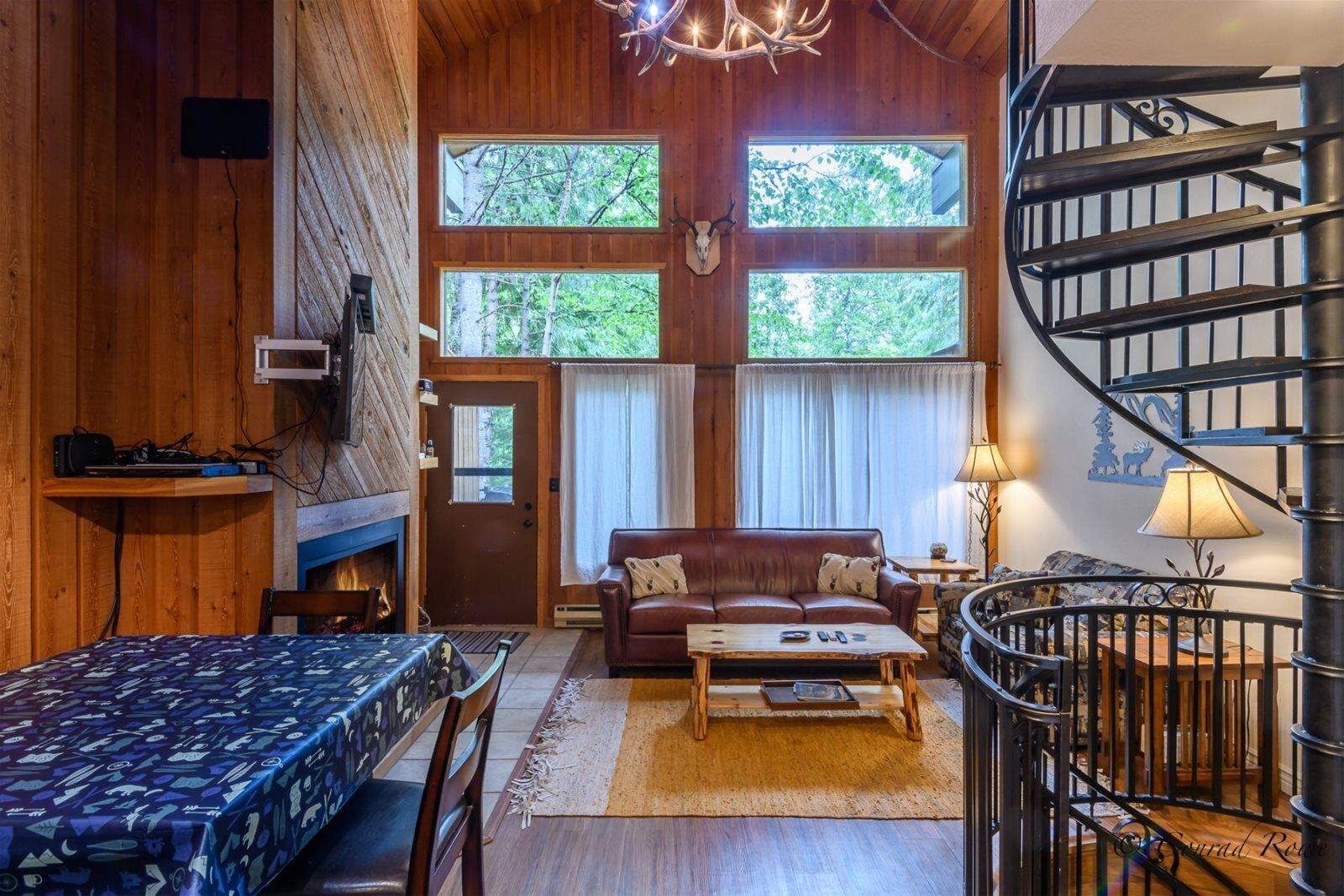 壁爐、DVD 播放機