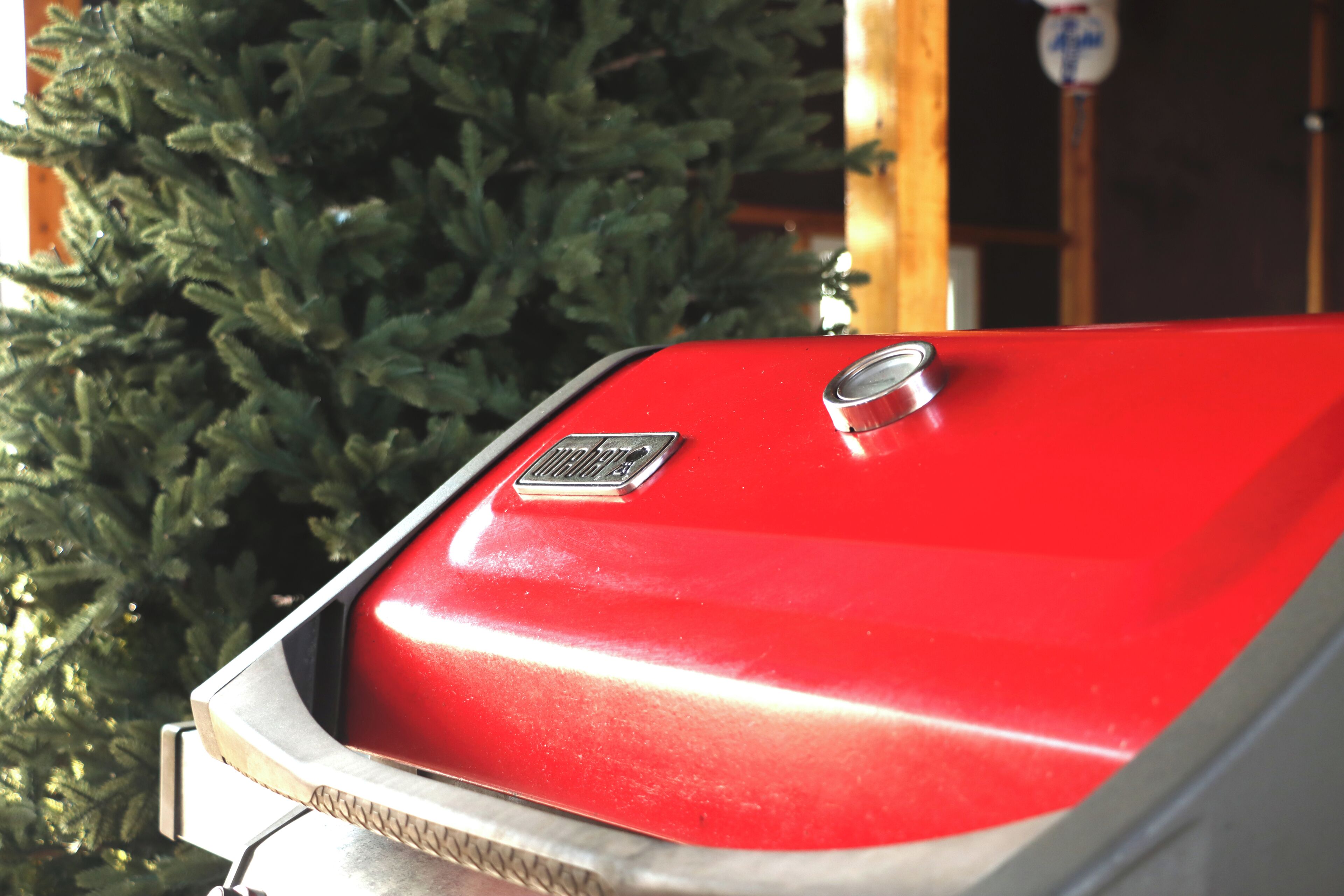 Un objeto rojo con una rejilla y una placa metálica, posiblemente una parrilla, frente a un arbusto verde.