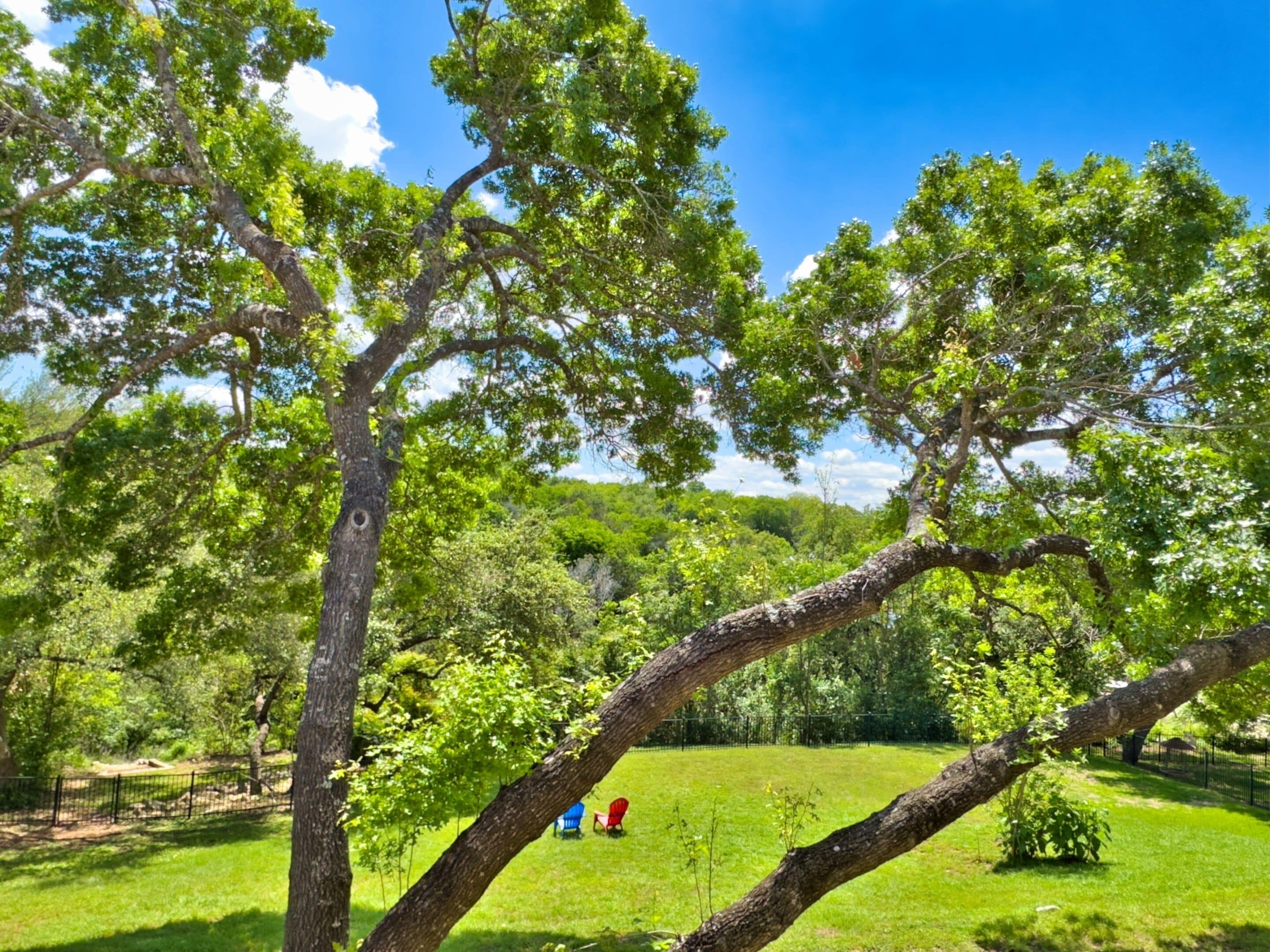 Welcome to Oasis by the Lake!