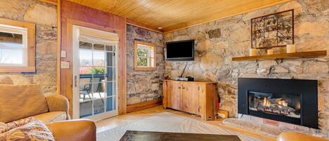 Televisión, chimenea, reproductor de DVD, libros