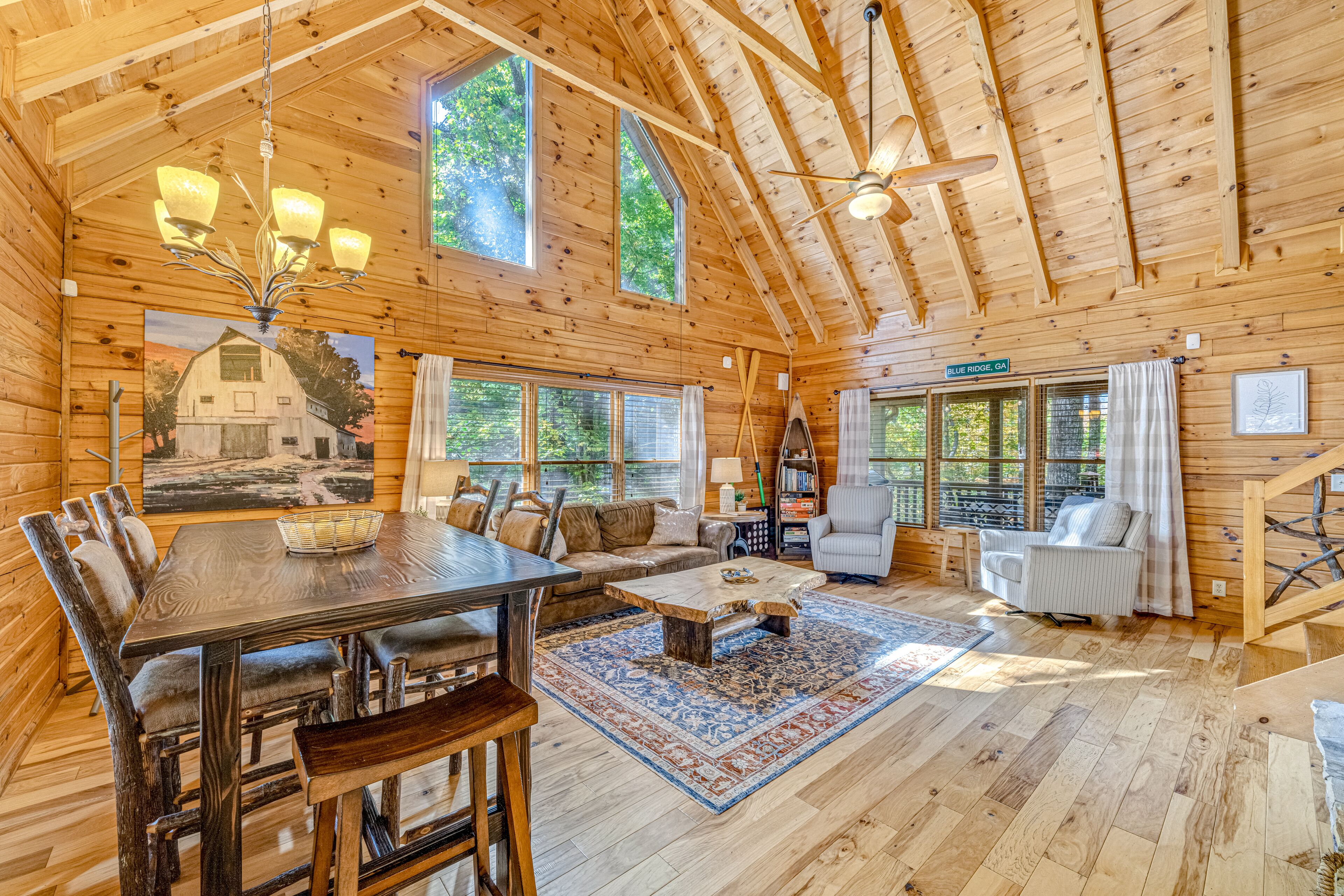 TV, fireplace, video games, books