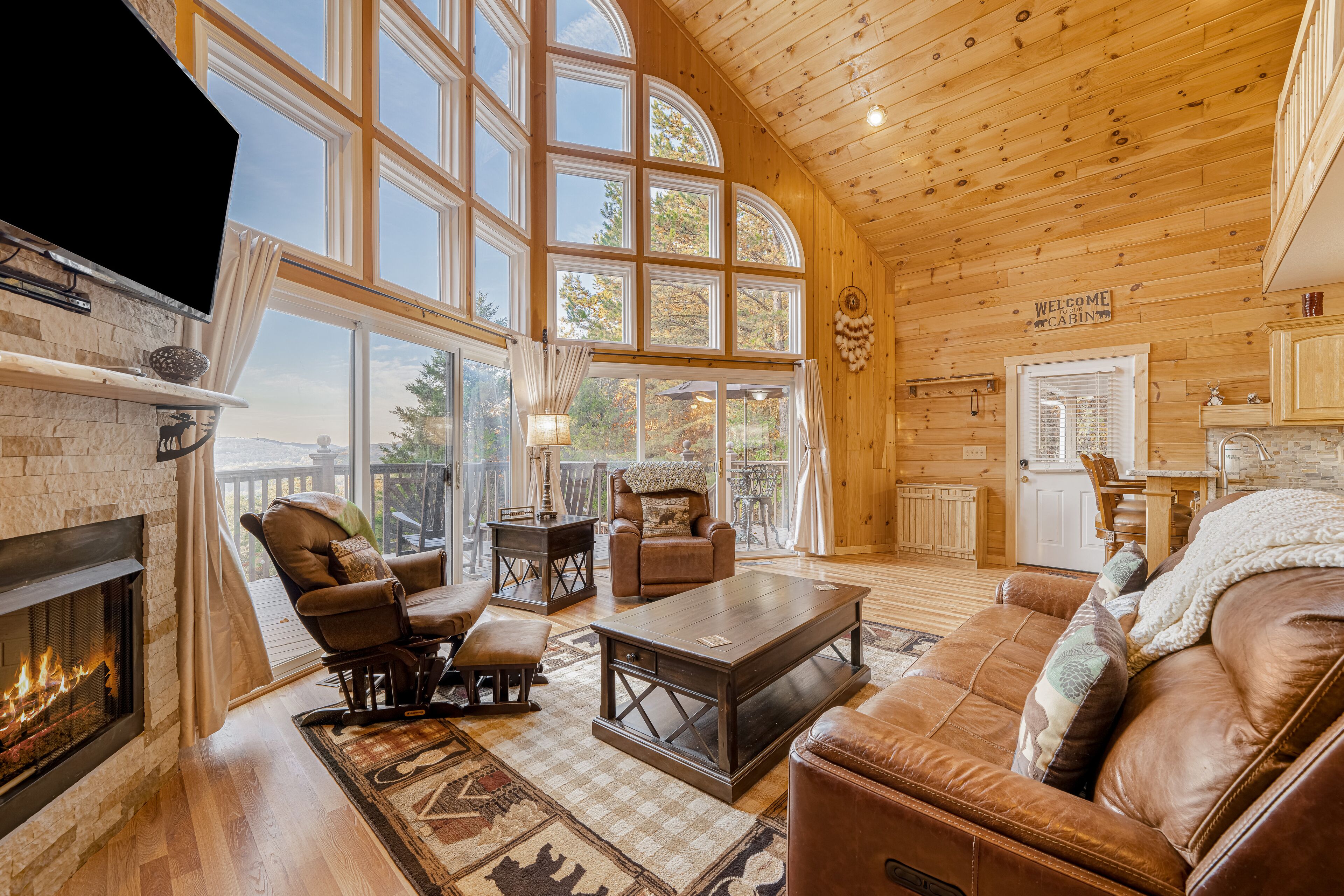 テレビ、暖炉、DVD プレーヤー、書庫