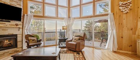 TV, fireplace, DVD player, books