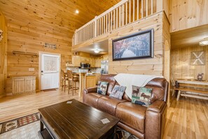 TV, fireplace, DVD player, books