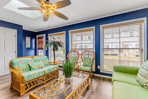 TV, fireplace, books