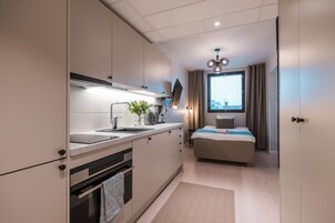 Studio for 1 | Private kitchen | Fridge, microwave, oven, stovetop