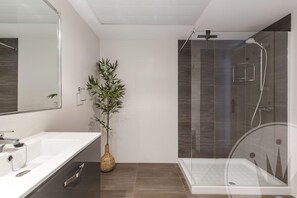 Shower, hair dryer, towels