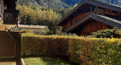 Garden Apartment Chamonix with parking and Mont Blanc view