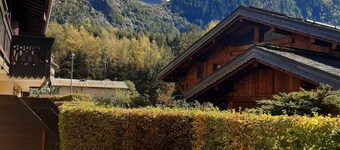 Garden Apartment Chamonix with parking and Mont Blanc view
