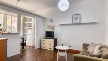 City Apartment | Living area | 49-inch plasma TV with cable channels, TV