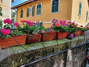Property grounds - HOUSE OF MYA (Camogli)