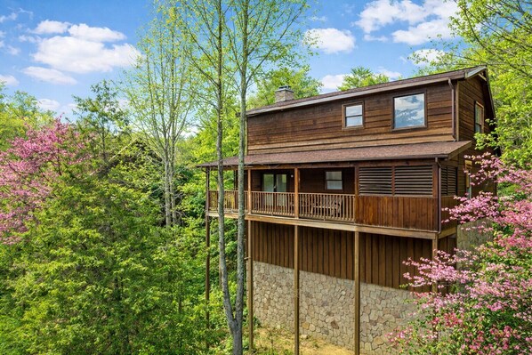 Een houten chalet met balkon, omgeven door bomen en begroeiing.