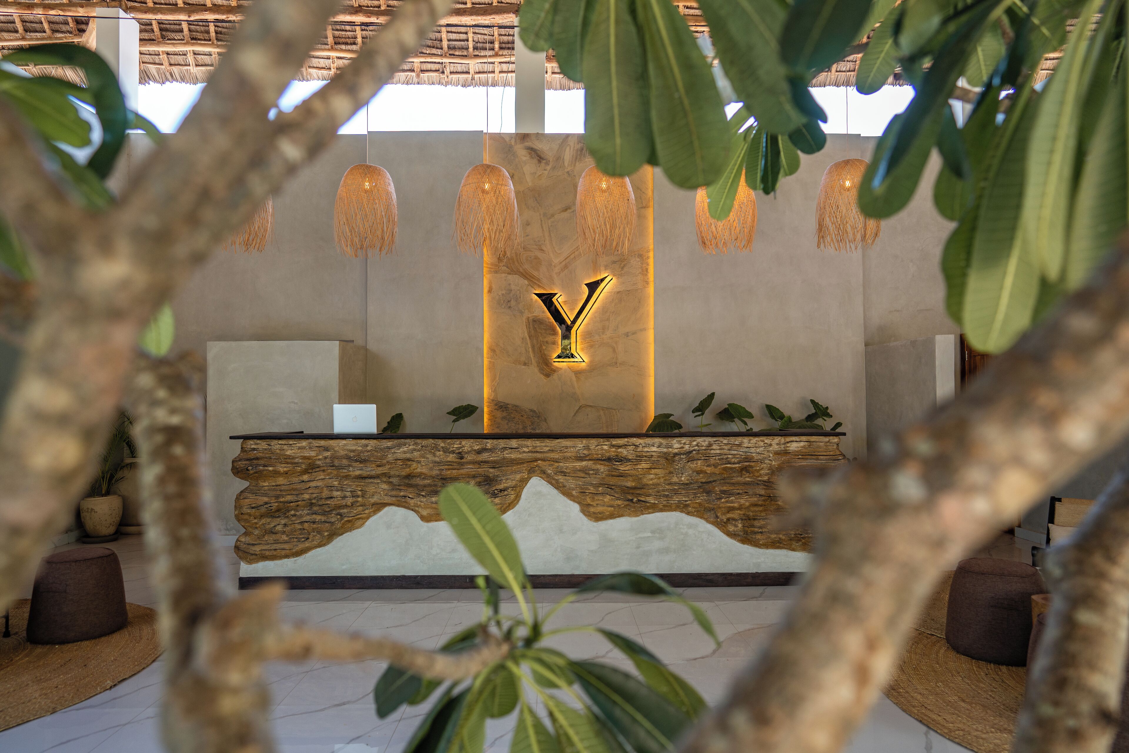 A reception desk with a wooden backdrop, a large illuminated 'Y' sign, and hanging pendant lights.