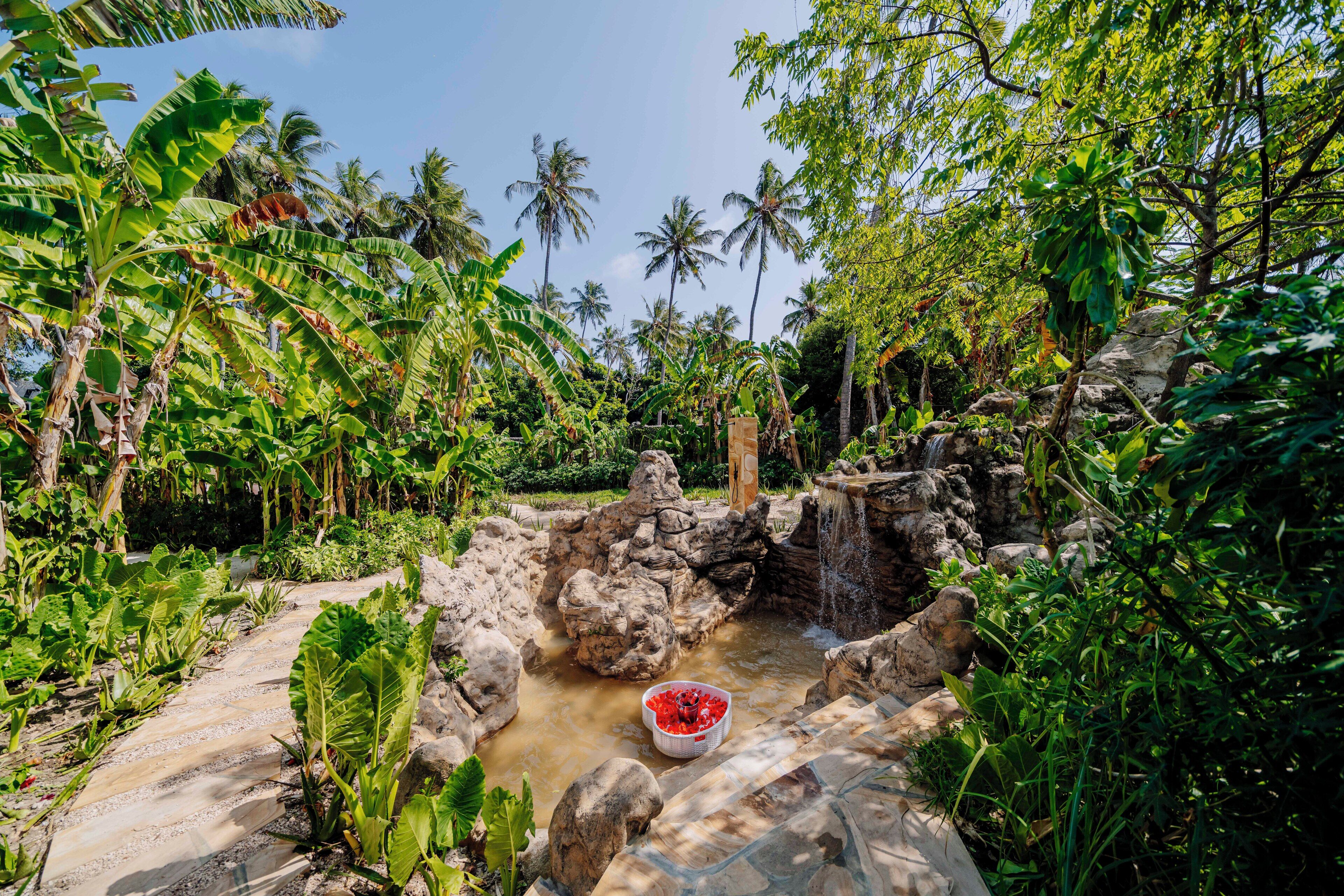 A natural water feature surrounded by lush greenery and palm trees.