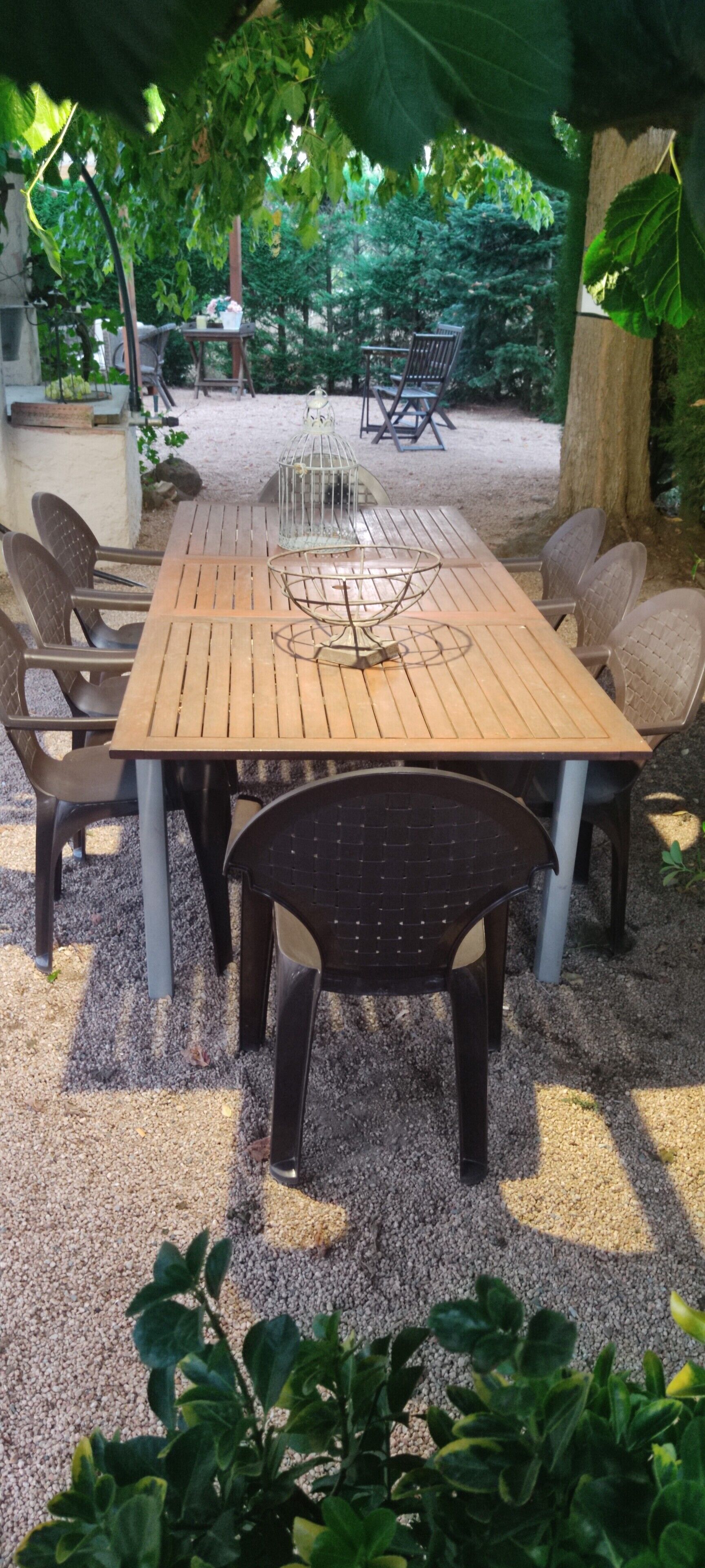 Un tavolo di legno con sedie, una gabbia per uccelli e uno sfondo con giardino.