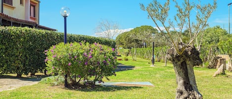 Overnattingsstedets uteområder