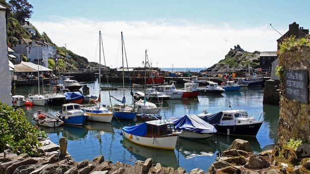 A harbor with various boats docked, a rocky shoreline, and a sign warning against feeding birds.