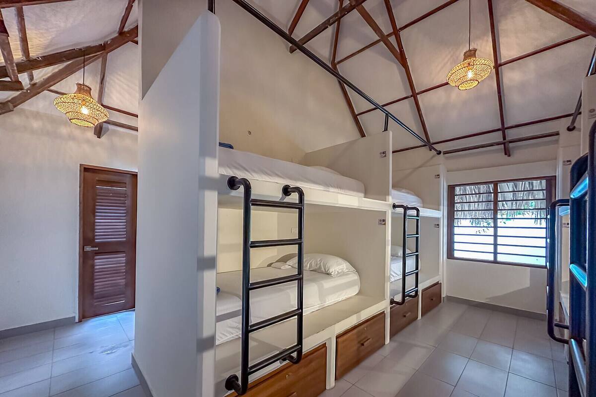 A dormitory room with bunk beds, a wooden door, and a window with blinds.