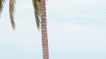 Beach bar