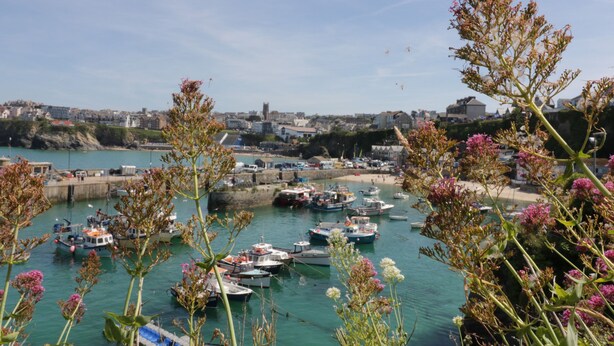 Un port où des bateaux sont amarrés, entouré de verdure et avec des bâtiments en arrière-plan.