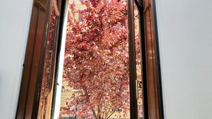 Una vista attraverso una porta che mostra un albero con foglie rosse, un edificio giallo e un cancello in metallo.