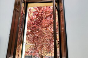 Apartment | 1 Schlafzimmer