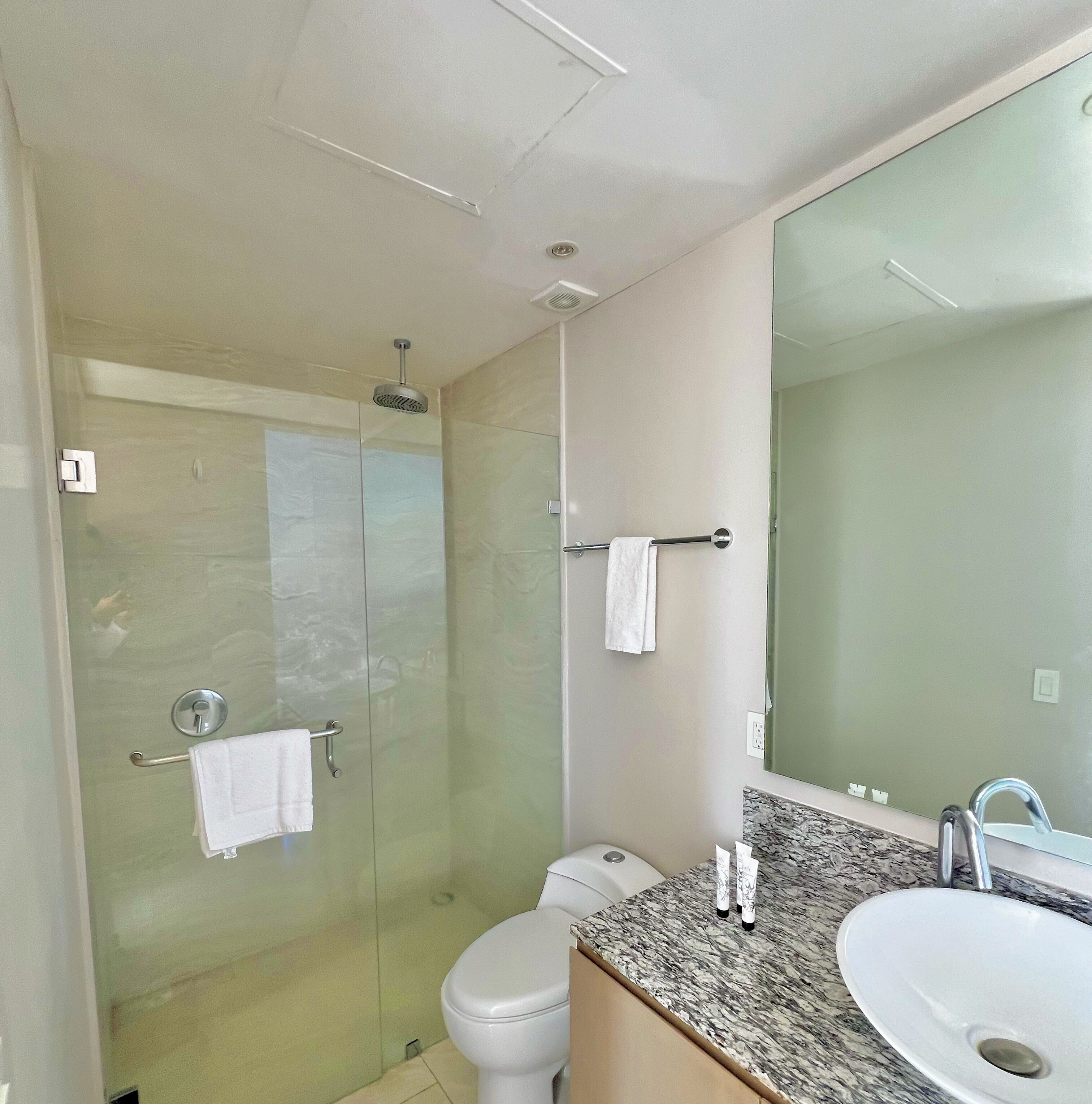 A modern bathroom with a glass-enclosed shower, a white toilet, a granite countertop, and a large mirror.