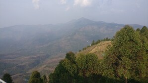 Un paisaje montañoso con vegetación densa y cielo despejado.