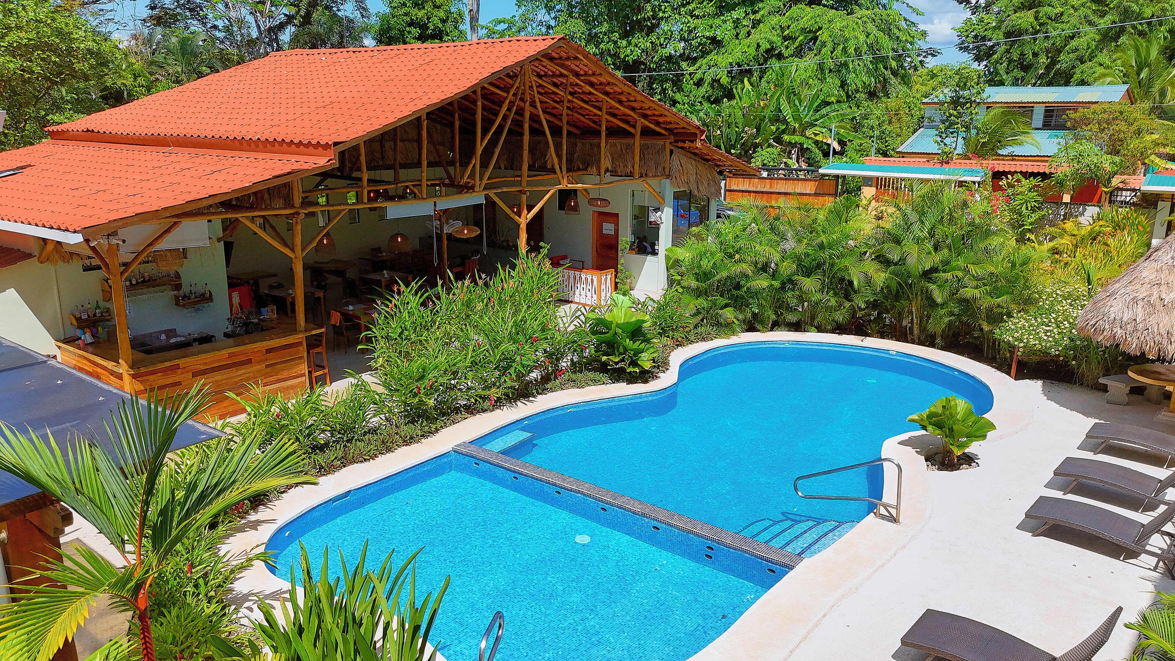 Una piscina con muelle de madera y sillas de descanso, rodeada de exuberante vegetación y un edificio con techo de paja.
