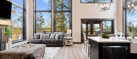 Televisión, chimenea, futbolito, libros