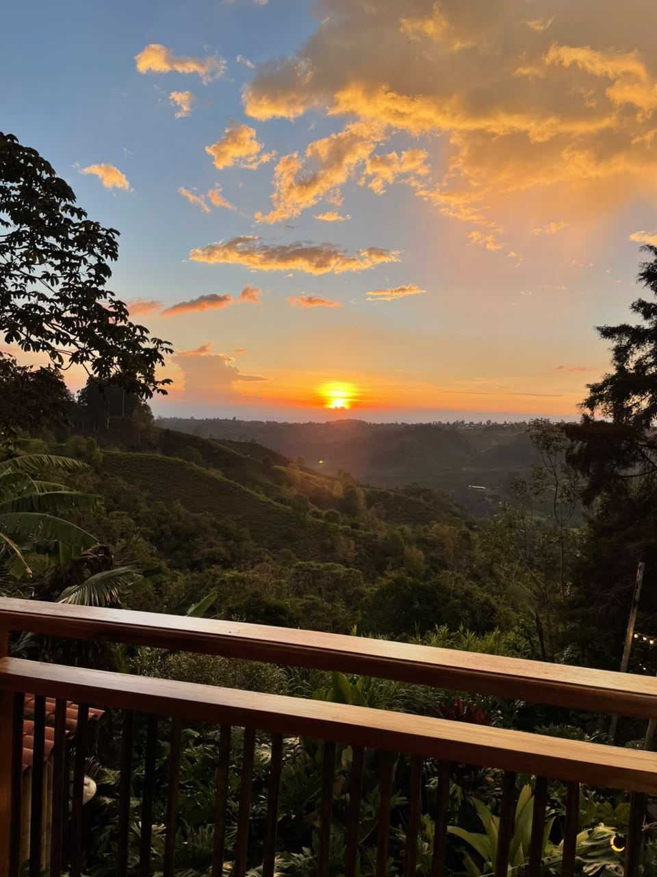 A sunset view from a balcony with a wooden railing, overlooking a hilly landscape with dense vegetation.