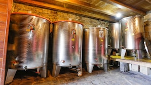 Four stainless steel fermentation tanks in a rustic cellar with wooden beams and stone walls. - Apartment Baladur (Koper)