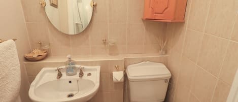 Une salle de bain avec un lavabo, des toilettes et un miroir.