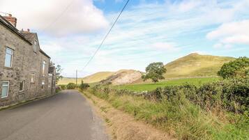 A rural road flanked by stone buildings and green fields.