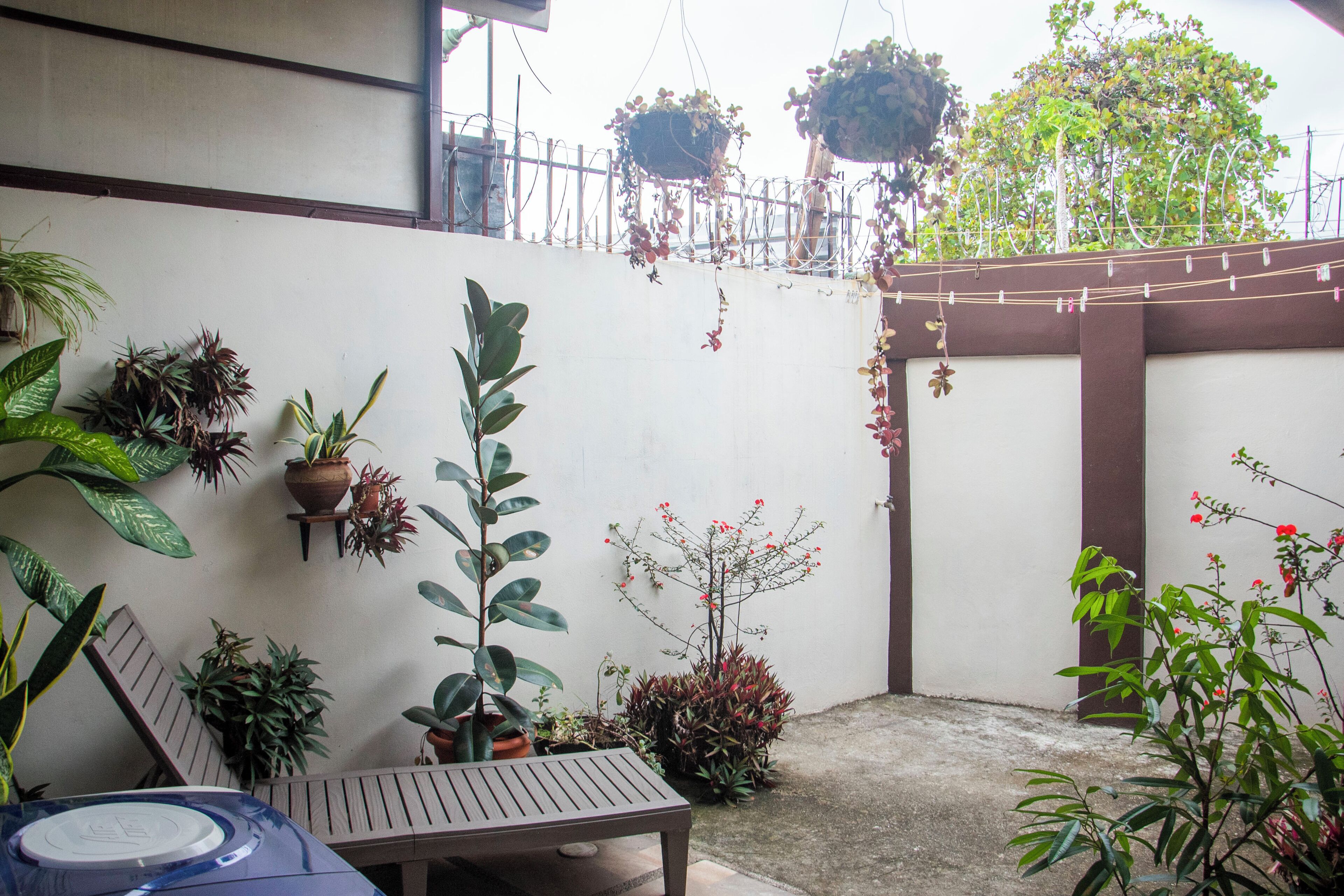 Un espacio patio con mesa y sillas de madera, rodeado de macetas y colgantes de plantas.