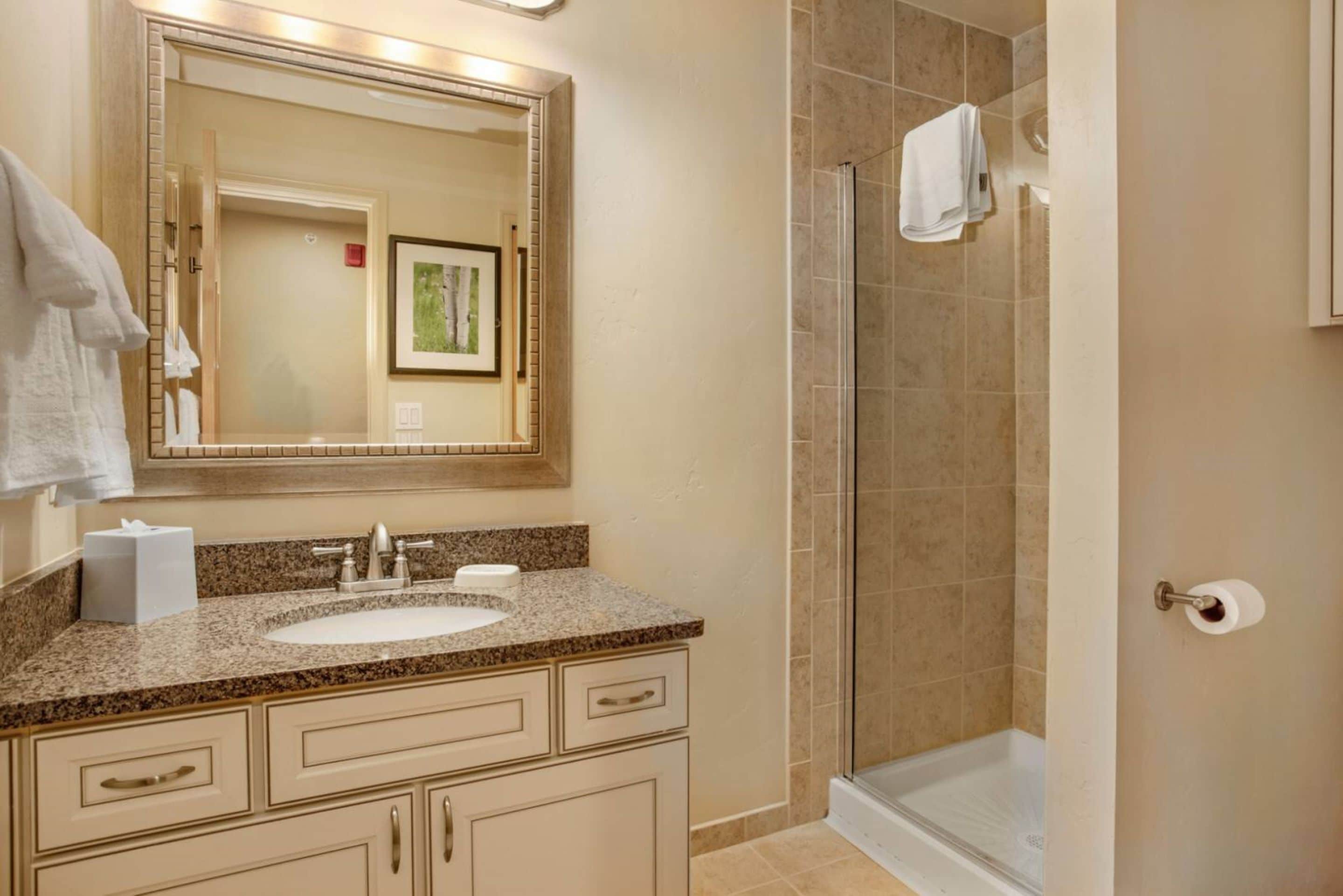 A bathroom with a sink, mirror, and shower.