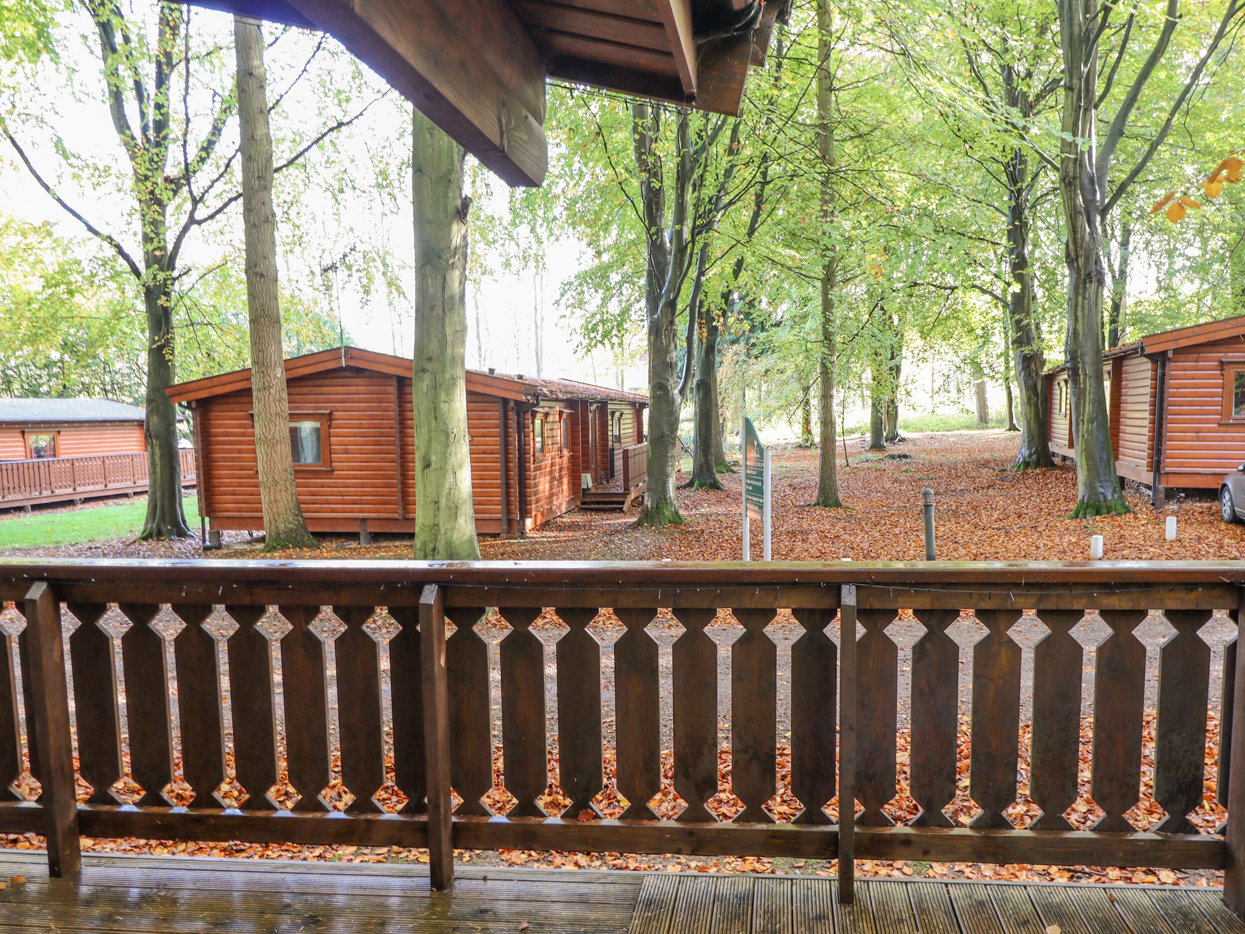 A wooden cabin with a porch, surrounded by trees and covered in fallen leaves.