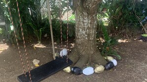 A swing set with a black seat and ropes, surrounded by a gravel path and various plants. - Elana's WhiteHouse. #3 Anasco PR. (Añasco)