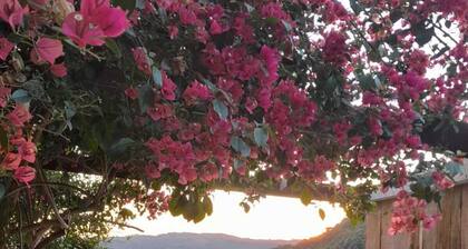 Chácara Paraíso da Paz