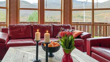 Una televisión, una chimenea