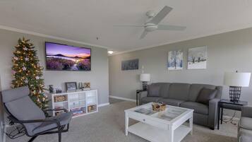 Smart TV, fireplace, books, video library