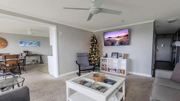 Smart TV, fireplace, books, video library