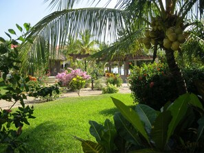 المنطقة المحيطة بالمنشأة