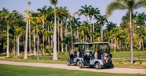 Une voiturette de golf sur un chemin, avec des palmiers en arrière-plan.