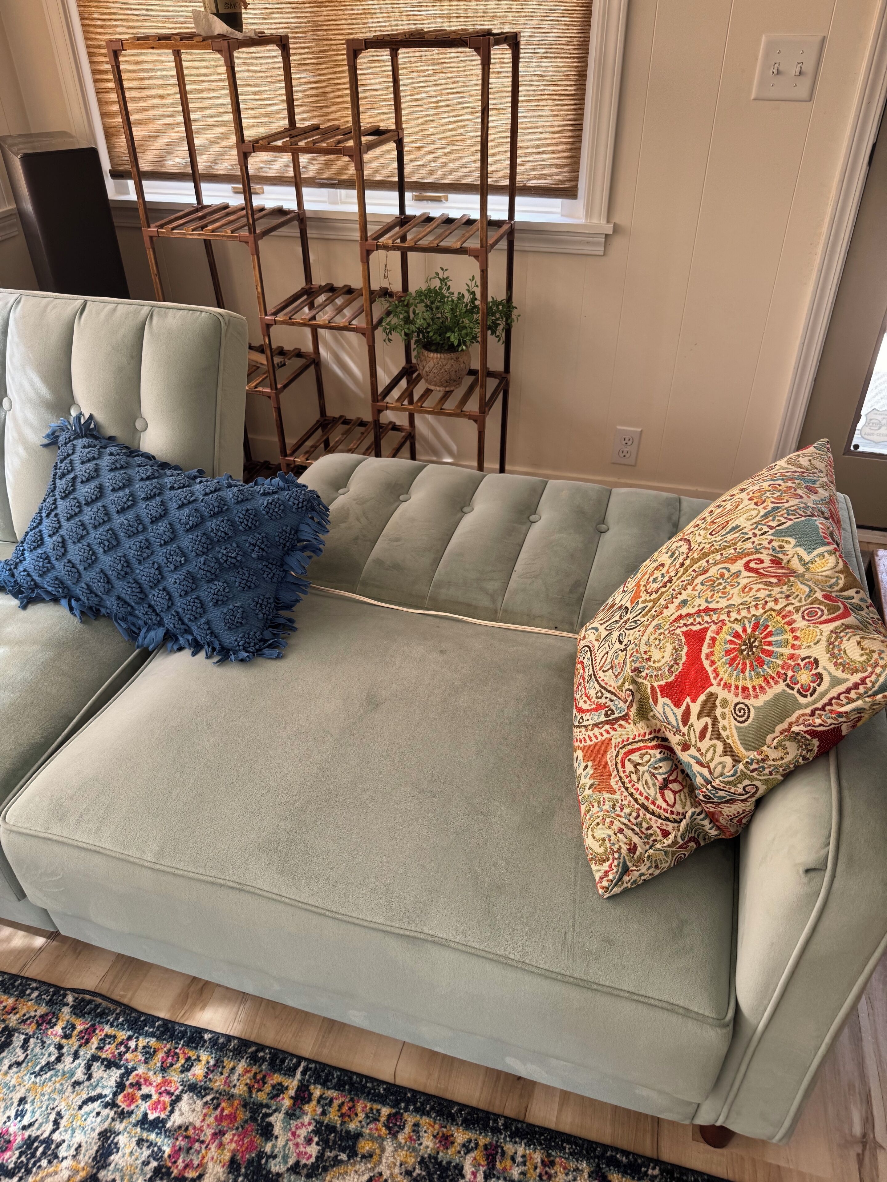 A light green sofa with a blue throw blanket and a patterned pillow, a wooden plant stand with a potted plant, and a patterned rug on a wooden floor.