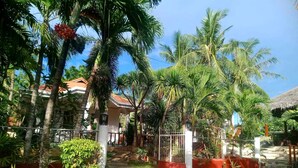 A tropical garden with palm trees, a pathway, and a building with a red roof. - Private quite bungalow-5 min walk to ocean & restaurants (Moalboal)