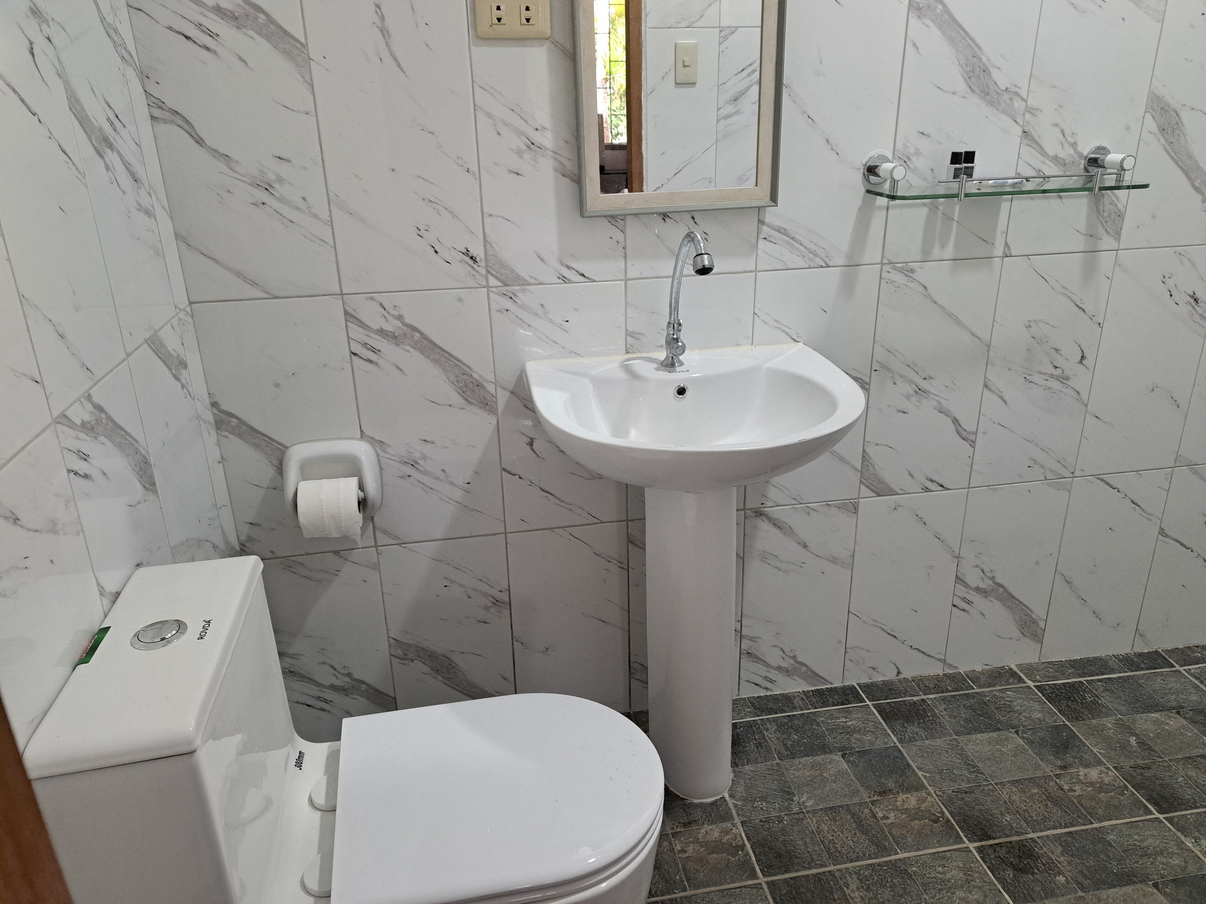 A bathroom with a white toilet, a pedestal sink, and a mirror above the sink.