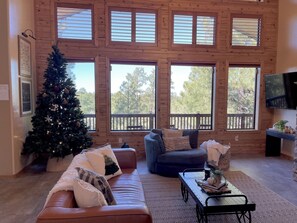 Een smart-tv, een open haard, tafelvoetbal en boeken